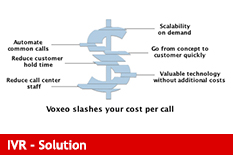 IVR Solution