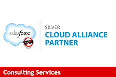 Salesforce Consulting Services